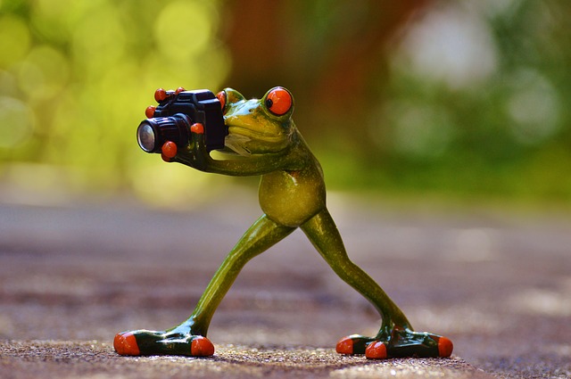 photographer_868106_640.jpg